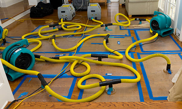 Professional Flood Damage Restoration technician working in Garden City, UT